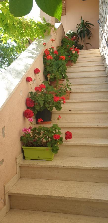 El Giardino Delle Rose..... Apartment Serre Di Rapolano Exterior photo